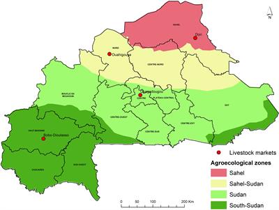 Livestock feed markets across agro-ecological zones of Burkina Faso: feed provenance, price and quality